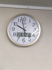 事務所の新入りさんです。 事務所の新入りさんです。