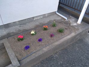前回の教訓をふまえて・・ 前回の教訓をふまえて・・