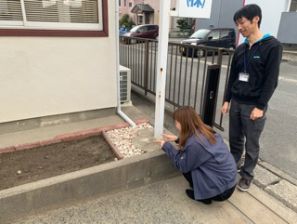 どうなる!!さんわ花壇!!! どうなる!!さんわ花壇!!!