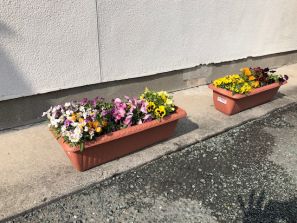 気持ちいい春風です。 気持ちいい春風です。