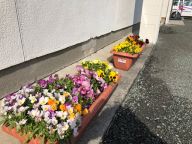 気持ちいい春風です。