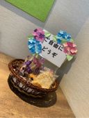 紫陽花咲きました。