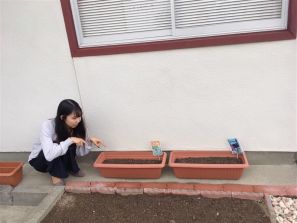こんなオフィスいいな( ｀ー´)♪