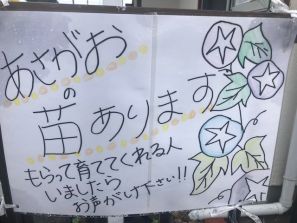 今年もやってます!! 今年もやってます!!