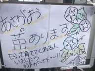 今年もやってます！！