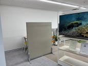 入口に水族館？？オフィス全面リニューアル！！